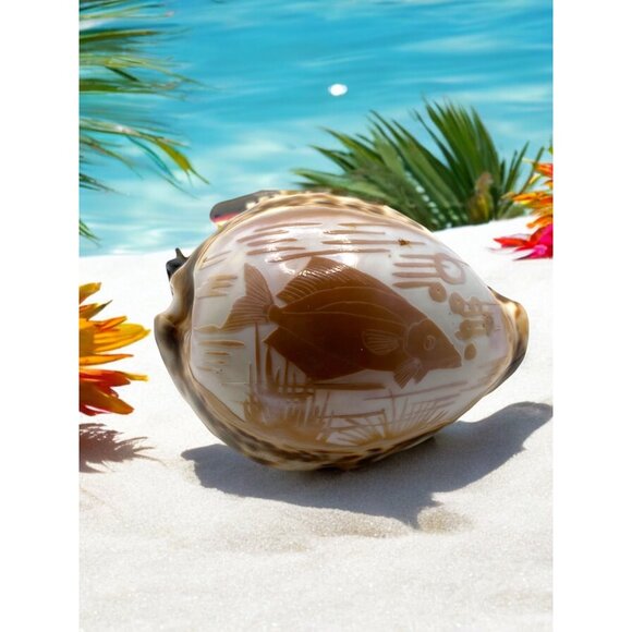 Hand-Carved Cowrie Shell With Fish Design Ocean Water Sea Life Decor Nautical - Picture 1 of 11